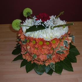 fwthumbPicture 019-1.jpg